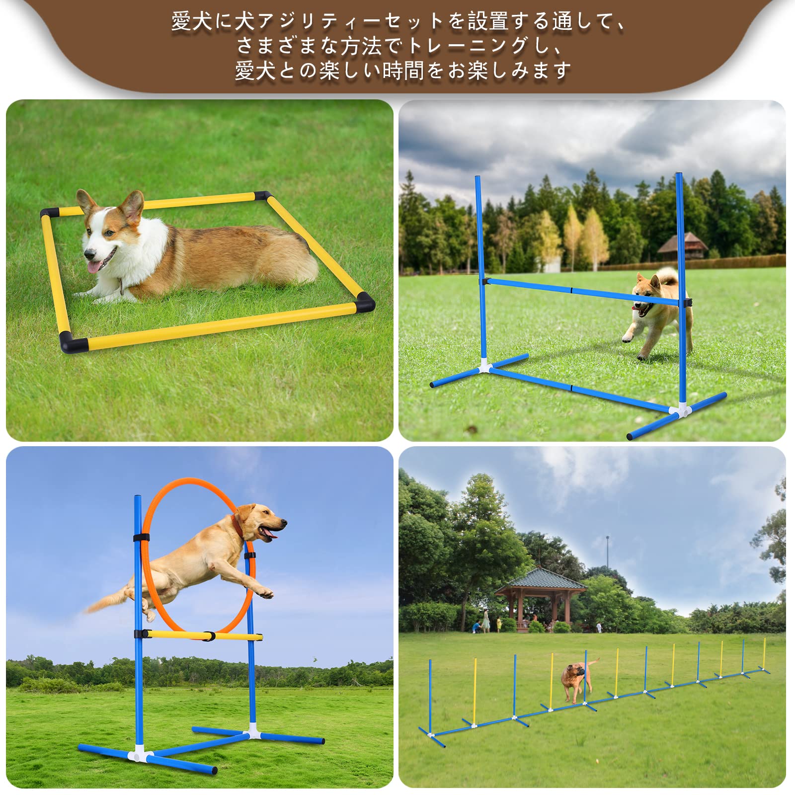 Amazon | 超長距離660cm のスラローム 犬 知育玩具 犬アジリティー用具